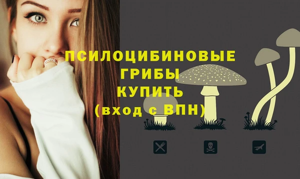 шишки Армянск