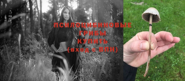 шишки Армянск