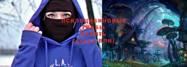 шишки Армянск