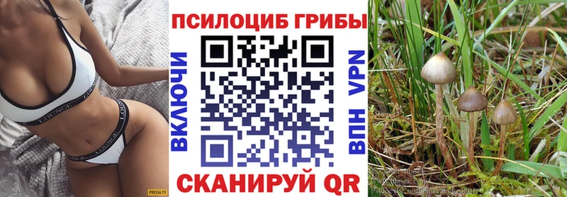 Галлюциногенные грибы прущие грибы  Приволжск 